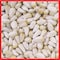 Coles Cole's Assorted Species Safflower Seeds Wild Bird Food 10 lb SA10 - alternate 2